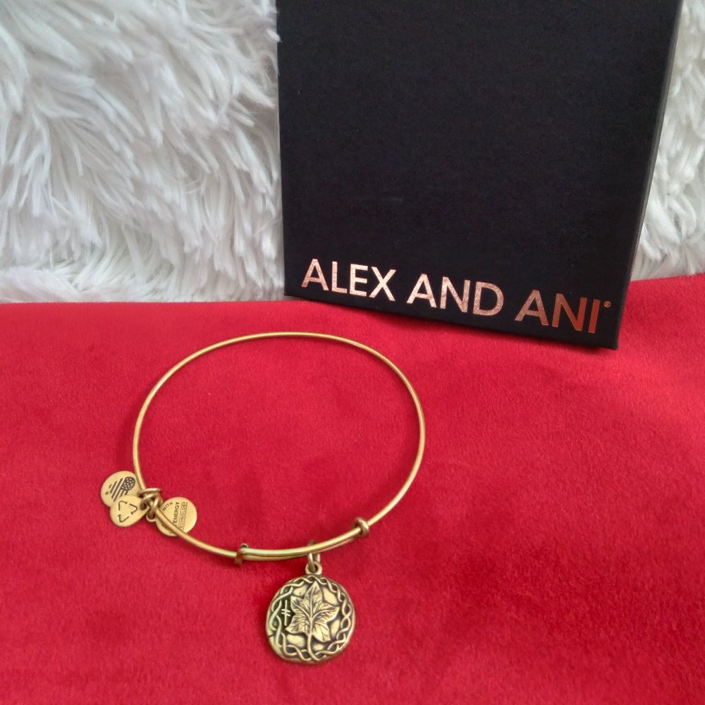 !! SALE !!  Alex and Ani Bracelet